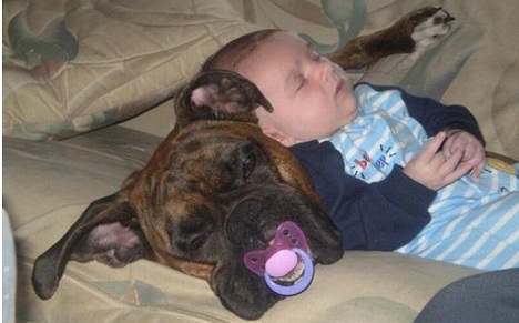Hond en baby: Schattig!
