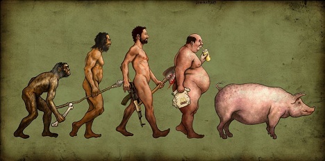 De evolutie van het varken