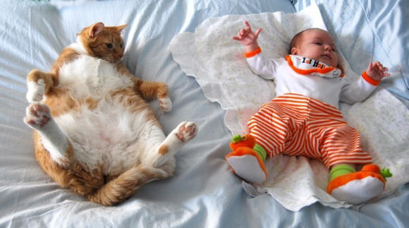 Kat en baby